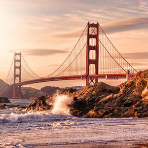 Meet your Posher, Darryl